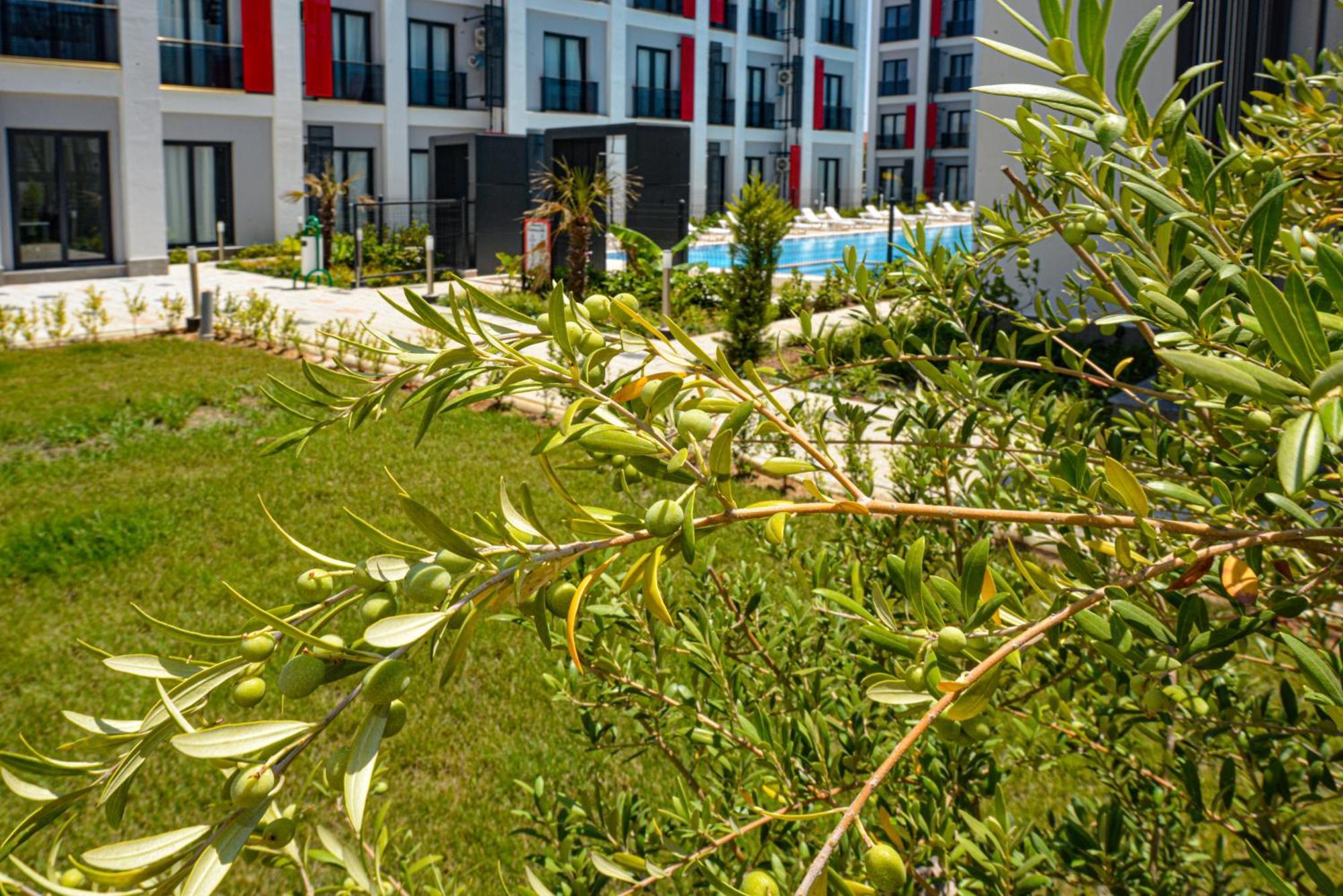 C Suites Antalia Airport Dış mekan fotoğraf